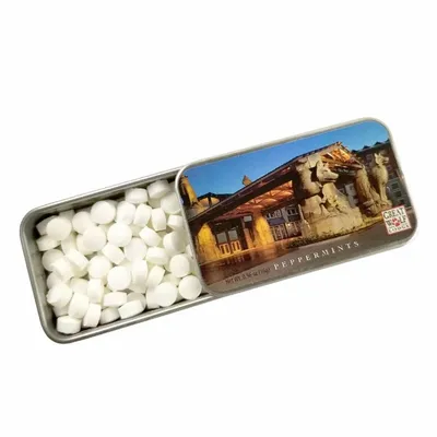 Silver Slyder Tin - Custom Canvas Now