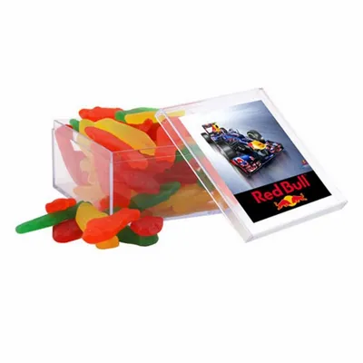 Acrylic Box with Swedish Fish - Large - Custom Canvas Now