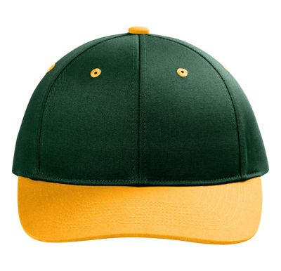 Dark Green/ Gold Dark Green/ Gold - Custom Canvas Now