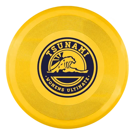Flying Disc - Custom Canvas Now