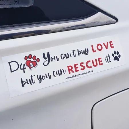 Bumper Stickers - Custom Canvas Now