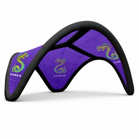 16 ft. x 16 ft. Inflatable Trident Tents 16 ft. x 16 ft. Inflatable Trident Tents - Custom Canvas Now