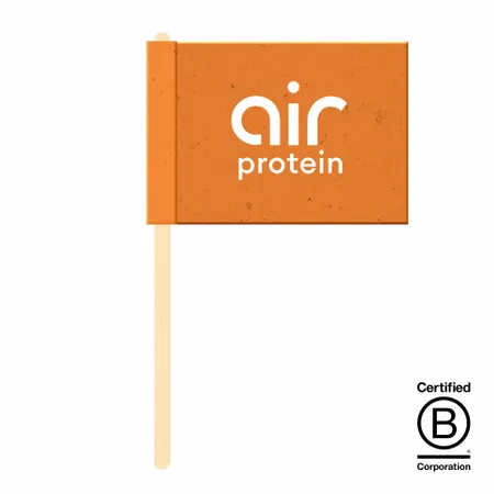 Seed Paper Flags - Custom Canvas Now