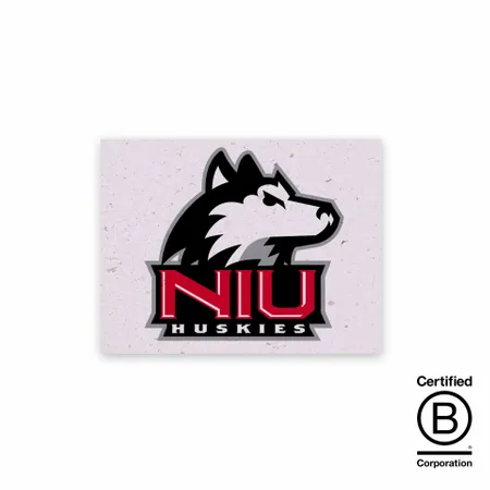 Seed Paper Panel Cards - Custom Canvas Now