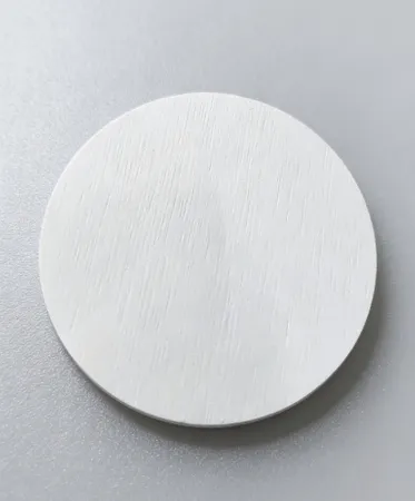 Hard Diatom Mud Coaster - Custom Canvas Now