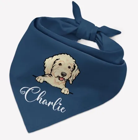 Cotton Bandanas - Custom Canvas Now