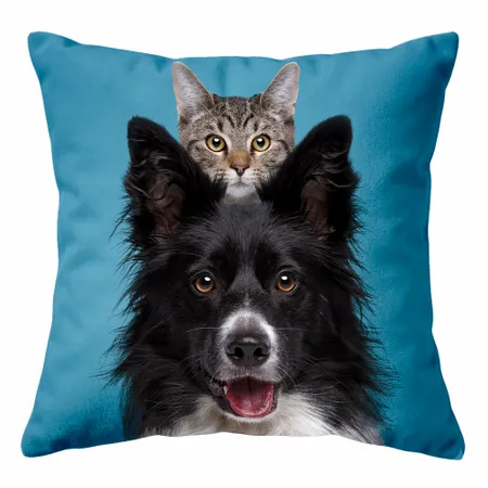 Square Pillows - Custom Canvas Now
