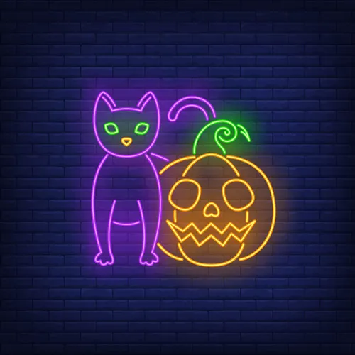 Scary Pumpkin Cat Neon Sign - Custom Canvas Now
