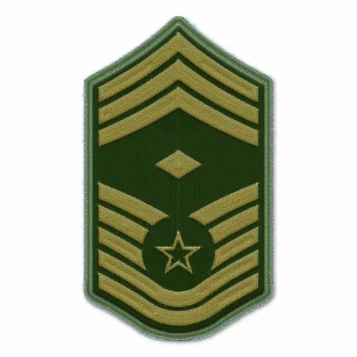 Air Force ABU Military Patch - Custom Canvas Now
