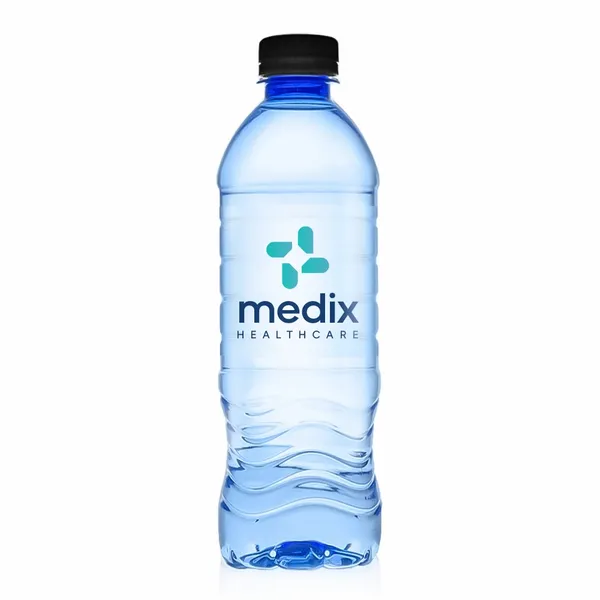 16.9 oz Blue Water Bottle - Custom Canvas Now