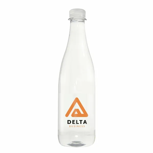 16.9 oz Champagne Style Water Bottle - Custom Canvas Now