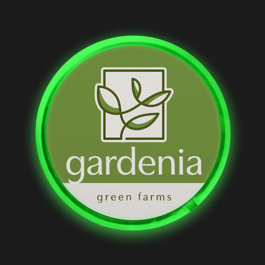 Light Button Pins - Custom Canvas Now