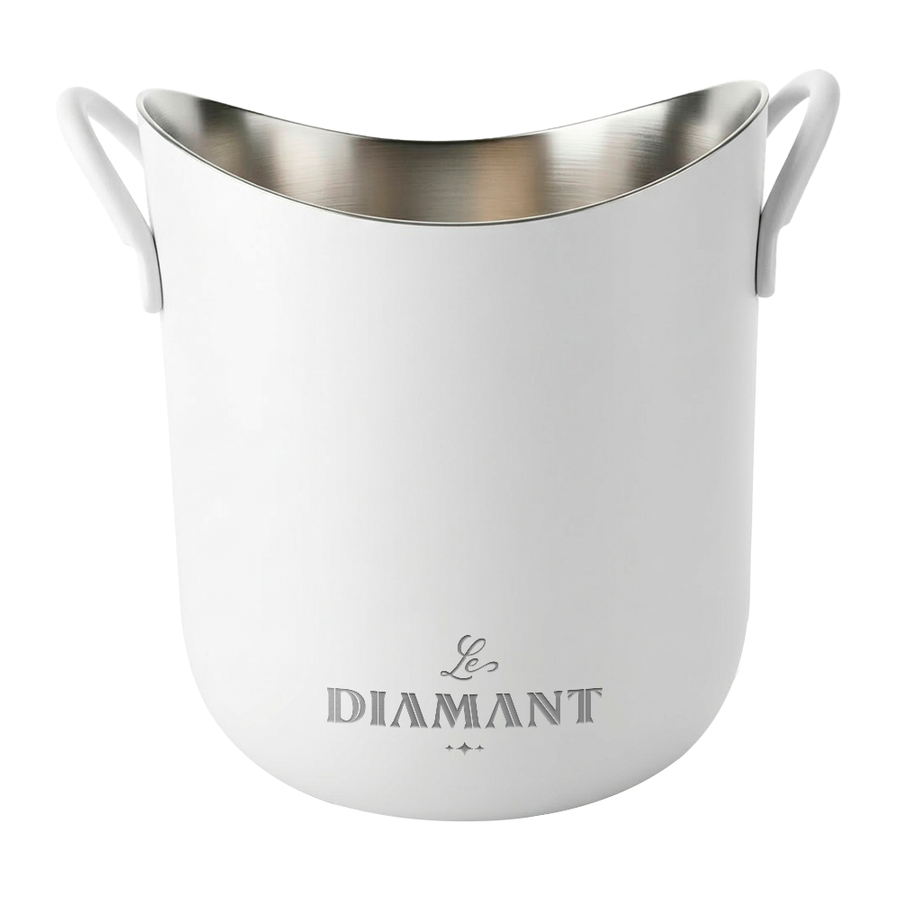 Stainless Steel Party Buckets - Custom Canvas Now