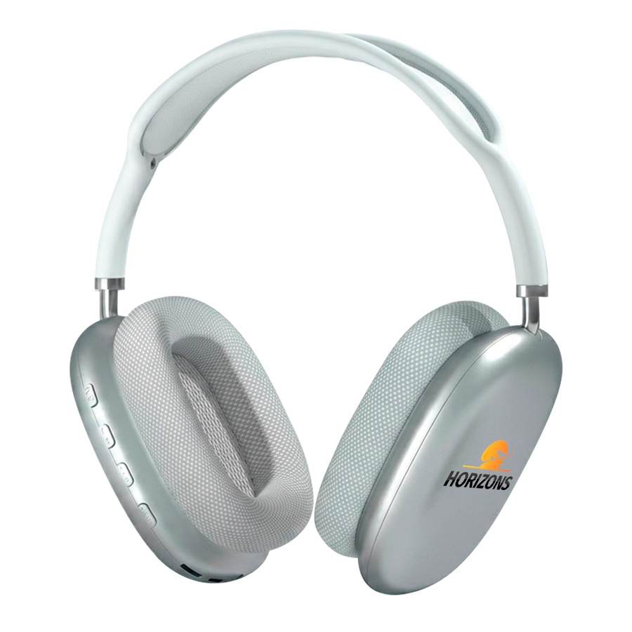 Apex Audio Maxes - Custom Canvas Now