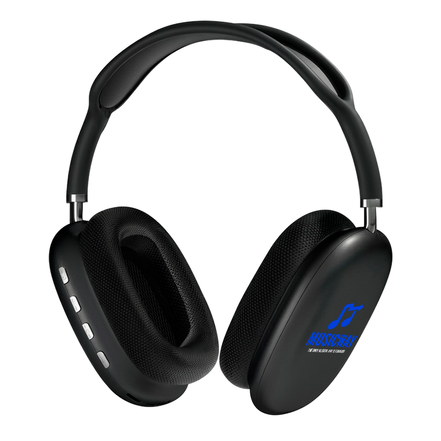 Apex Audio Maxes - Custom Canvas Now