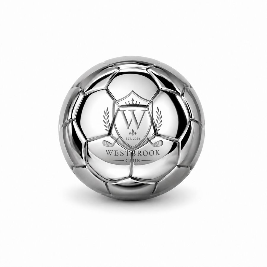 Soccer Ball Stainless Steel Ice Cubes - Custom Canvas Now